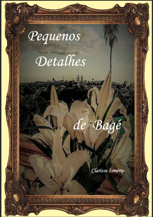 Capa do livro Pequenos Detalhes de Bagé